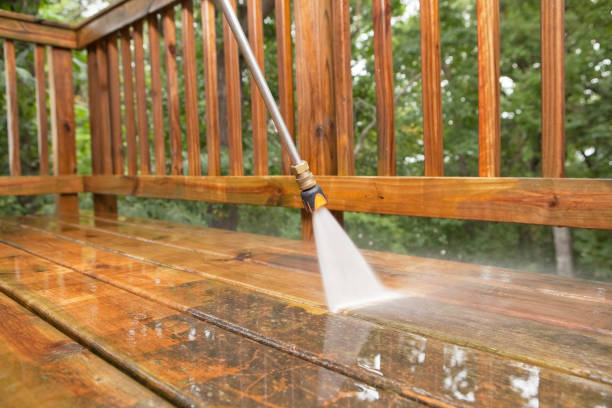 Best Animal Enclosure Cleaning  in Montgomery, IN
